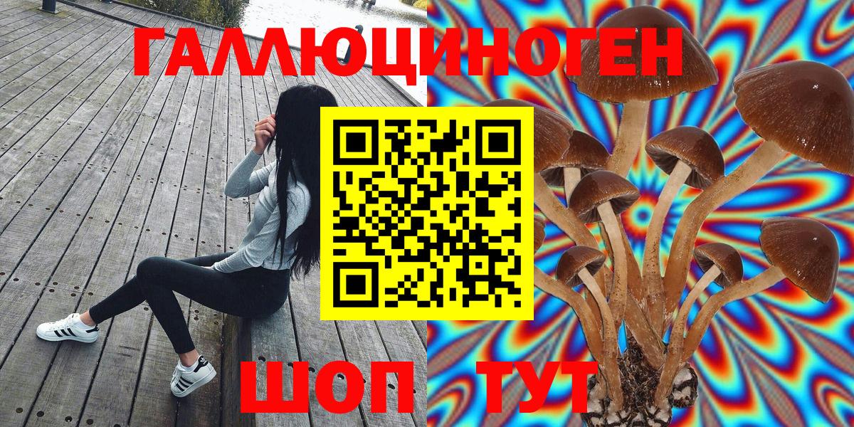 Псилоцибиновые грибы GOLDEN TEACHER Бердск