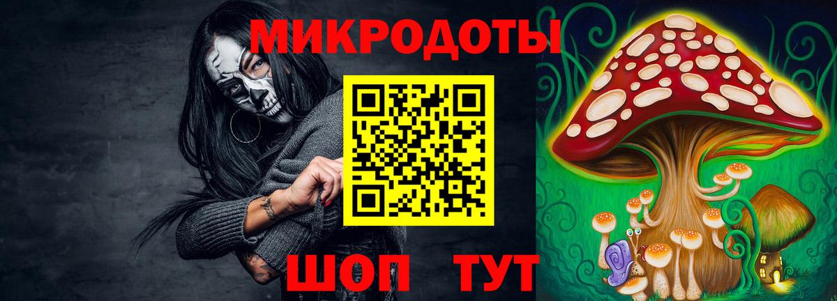 Бердск  Галлюциногенные грибы Cubensis  Вход с VPN 